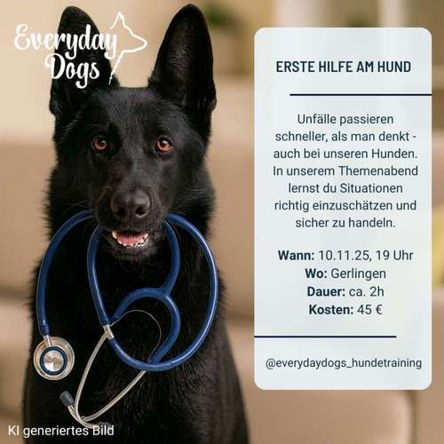 Hundeauslaufgebiet-Everyday Dogs Hundetraining-Bild