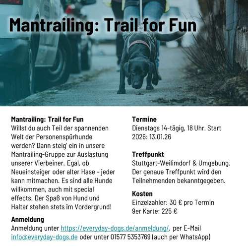 Hundeauslaufgebiet-Everyday Dogs Hundetraining-Bild