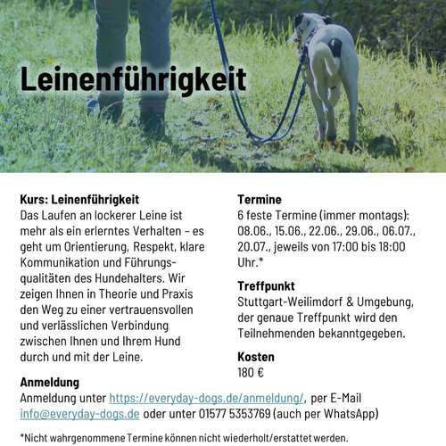 Hundeauslaufgebiet-Everyday Dogs Hundetraining-Bild