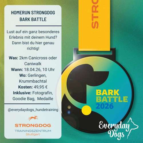 Hundeauslaufgebiet-Everyday Dogs Hundetraining-Bild