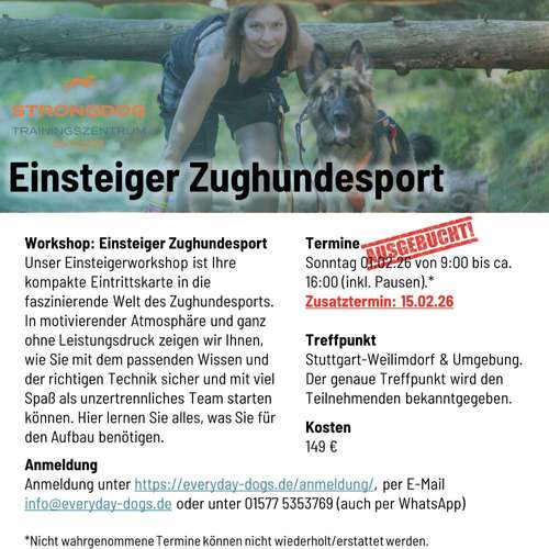 Hundeauslaufgebiet-Everyday Dogs Hundetraining-Bild