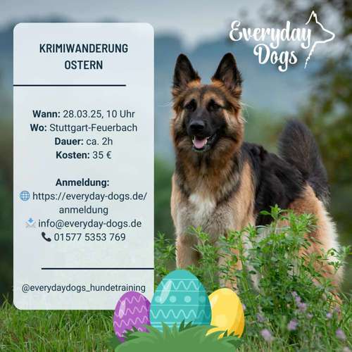 Hundeauslaufgebiet-Everyday Dogs Hundetraining-Bild
