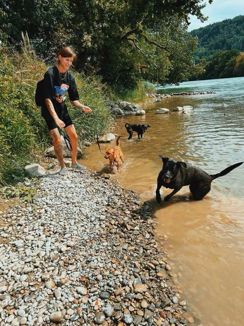 Hundeauslaufgebiet-Hundplusmensch-Bild