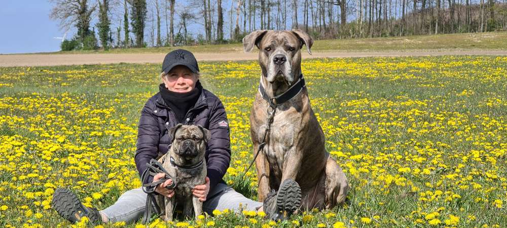 Hundeauslaufgebiet-Hundeschule Xanten-Bild