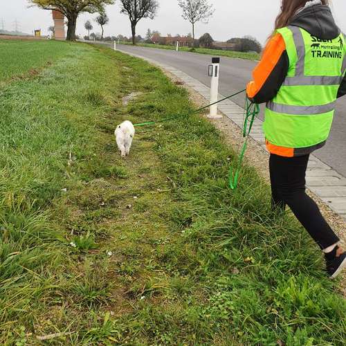 Hundeauslaufgebiet-Hundeschule Rahn-Bild