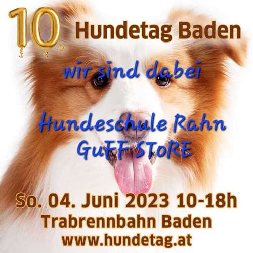 Hundeauslaufgebiet-Hundeschule Rahn-Bild