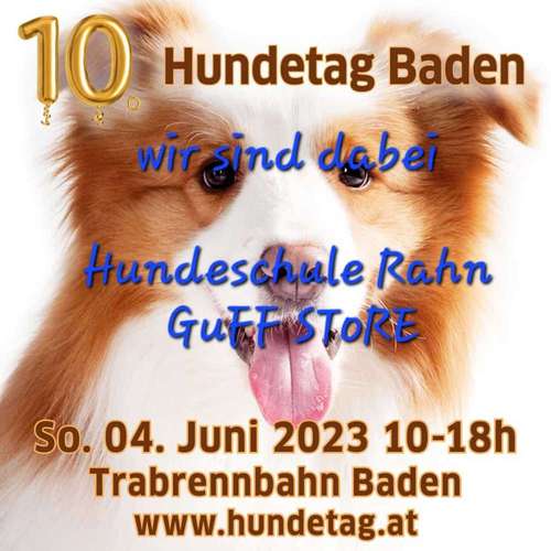 Hundeauslaufgebiet-Hundeschule Rahn-Bild