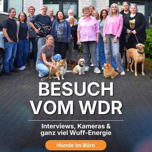 Hundeauslaufgebiet-vs vergleichen-und-sparen GmbH-Bild