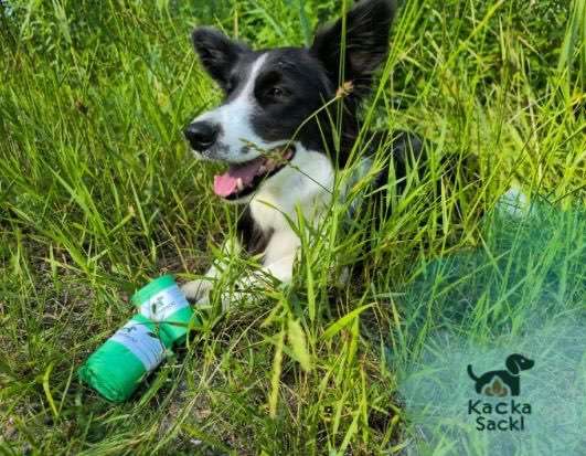 Hundeauslaufgebiet-KackaSackl-Bild