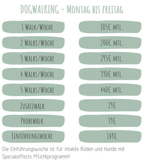 Hundeauslaufgebiet-Hundumzufrieden mit Alina Aytac-Bild