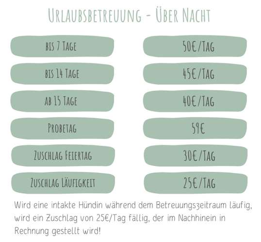 Hundeauslaufgebiet-Hundumzufrieden mit Alina Aytac-Bild