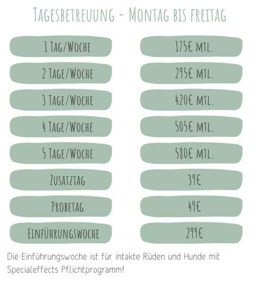 Hundeauslaufgebiet-Hundumzufrieden mit Alina Aytac-Bild