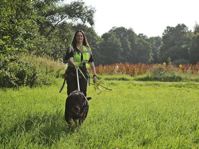 Hundeauslaufgebiet-Stefanie Dülfer Hundetraining&Verh.ber.-Bild