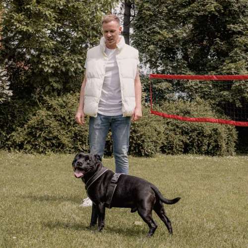 Hundeauslaufgebiet-Hunde-Sprache-Bild