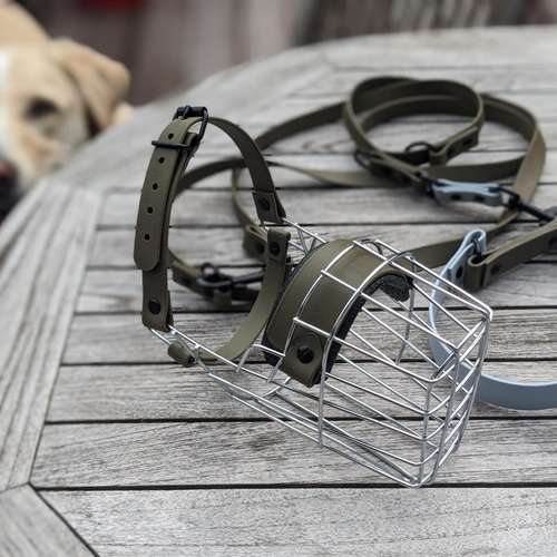 Hundeauslaufgebiet-STUDIO SCHNAUZ Maulkorbberatung-Bild