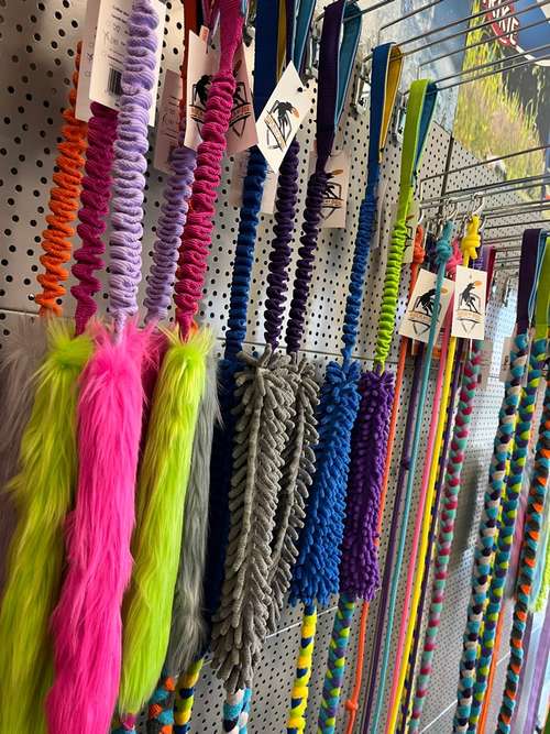 Hundeauslaufgebiet-RockMyDog-Bild