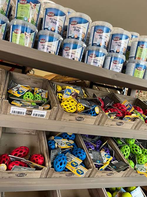 Hundeauslaufgebiet-RockMyDog-Bild