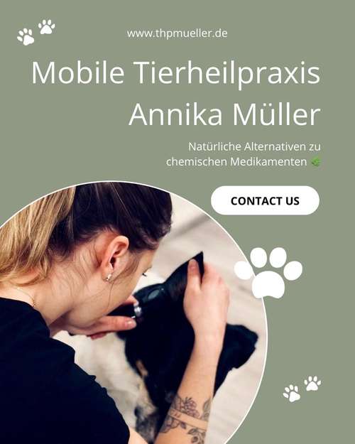 Hundeauslaufgebiet-Mobile Tierheilpraxis Annika Müller-Bild