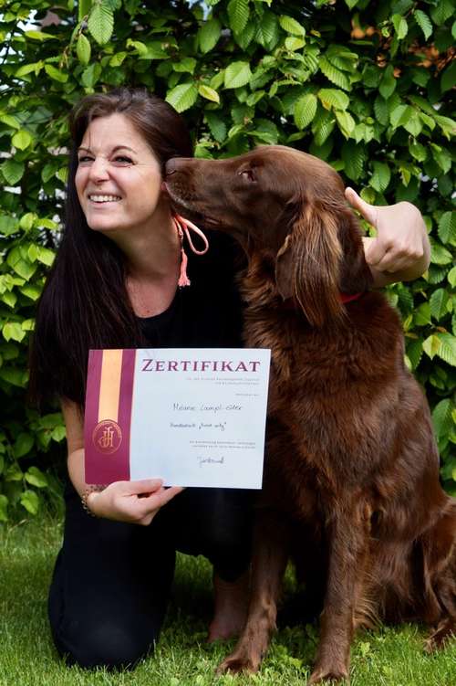 Hundeauslaufgebiet-Hundeschule Melanie Eder „Hund artig“-Bild