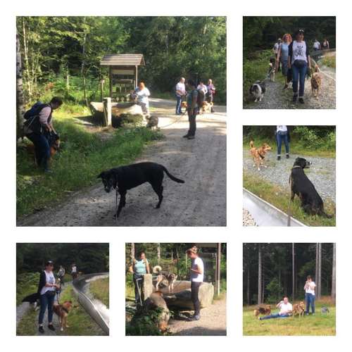 Hundeauslaufgebiet-FUNworkingDOGS-Bild