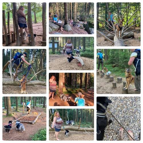 Hundeauslaufgebiet-FUNworkingDOGS-Bild
