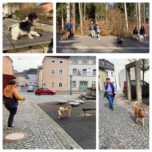 Hundeauslaufgebiet-FUNworkingDOGS-Bild
