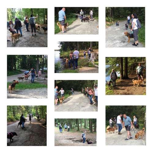 Hundeauslaufgebiet-FUNworkingDOGS-Bild