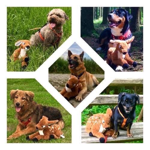 Hundeauslaufgebiet-FUNworkingDOGS-Bild