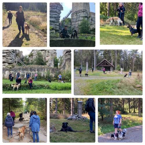 Hundeauslaufgebiet-FUNworkingDOGS-Bild