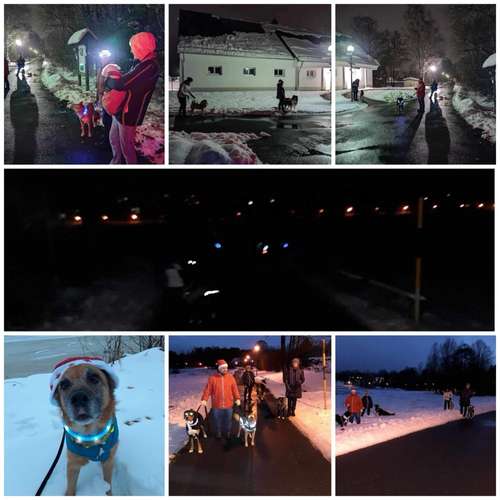 Hundeauslaufgebiet-FUNworkingDOGS-Bild