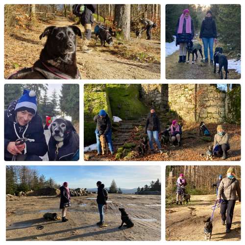 Hundeauslaufgebiet-FUNworkingDOGS-Bild