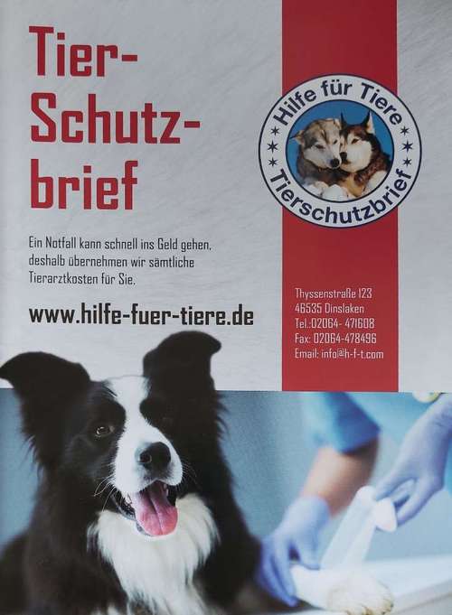 Hundeauslaufgebiet-Hilfe-für-Tiere-Team-Bild