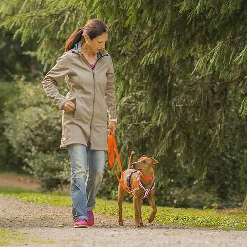 Hundeauslaufgebiet-Martin Rütter Hundeschule Tulln-Bild