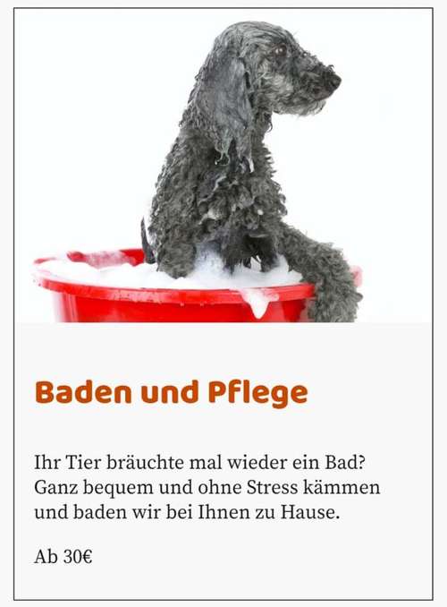 Hundeauslaufgebiet-Wuff Miau Piep - Mobiler Tierpflegeservice -Bild