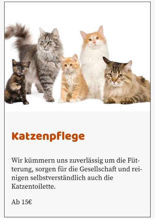 Hundeauslaufgebiet-Wuff Miau Piep - Mobiler Tierpflegeservice -Bild