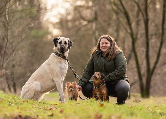 Hundeauslaufgebiet-Grafschafter Moorhunde-Bild