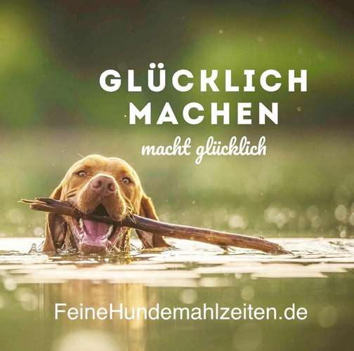 Hundeauslaufgebiet-Feine Hundemahlzeiten Flöther GbR-Bild