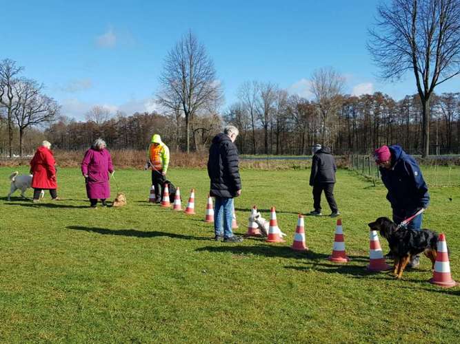 Hundeauslaufgebiet-Hundeschule Nettetal-Bild