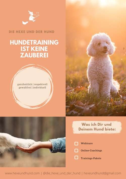 Hundeauslaufgebiet-Die Hexe und der Hund-Bild