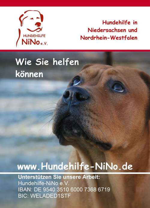 Hundeauslaufgebiet-Hundehilfe NiNo e.V.-Bild