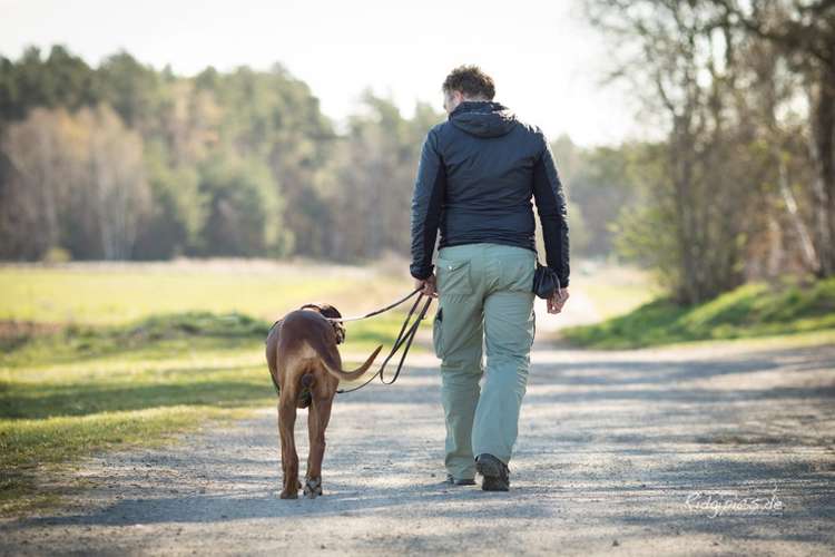 Hundeauslaufgebiet-Hundeschule CaniTales-Bild