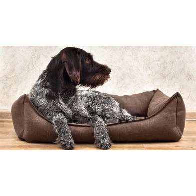 Hundeauslaufgebiet-Hundeschule CaniTales-Bild