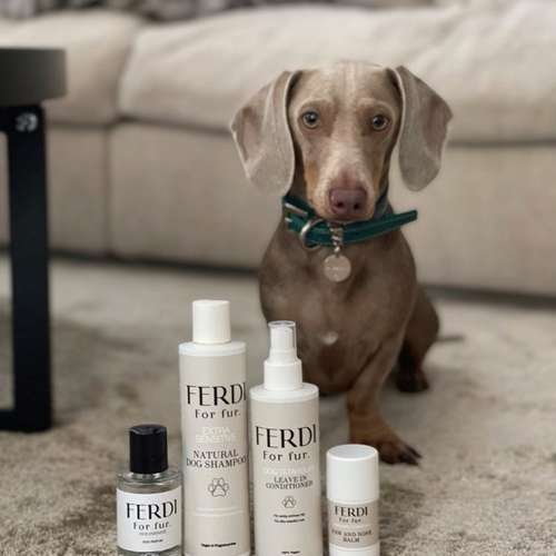 Hundeauslaufgebiet-FERDI-Bild