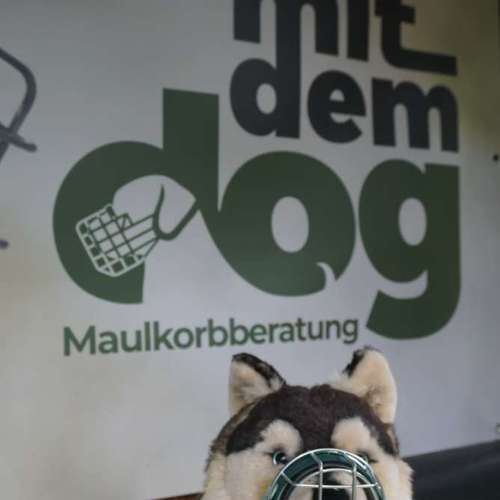 Hundeauslaufgebiet-mitdemdog - Maulkorbberatung-Bild