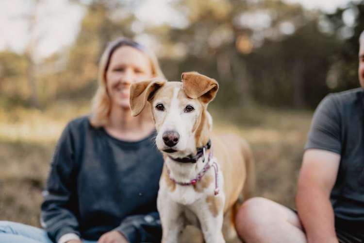 Hundeauslaufgebiet-Fotografie Anja Hagen-Bild