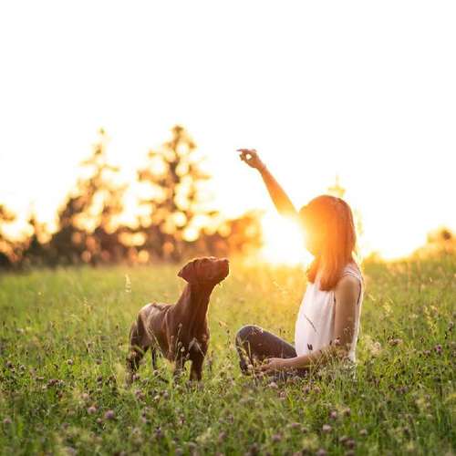 Hundeauslaufgebiet-Fotografie Anja Hagen-Bild