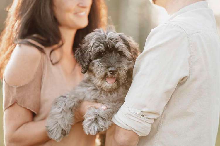 Hundeauslaufgebiet-Fotografie Anja Hagen-Bild