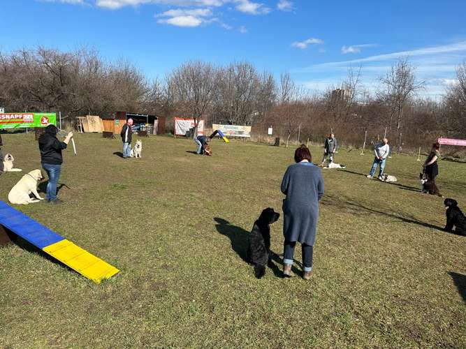 Hundeauslaufgebiet-Hundewiese Geraaue e.V.-Bild