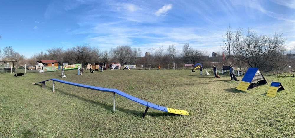 Hundeauslaufgebiet-Hundewiese Geraaue e.V.-Bild