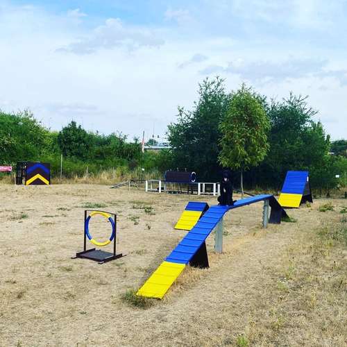 Hundeauslaufgebiet-Hundewiese Geraaue e.V.-Bild